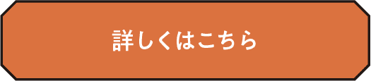詳細を見る