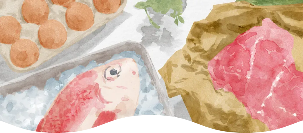 卵・鮮魚・お肉などの生鮮食品のイラスト