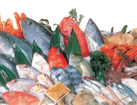 魚力(鮮魚・塩干・寿司)の取扱商品イメージ