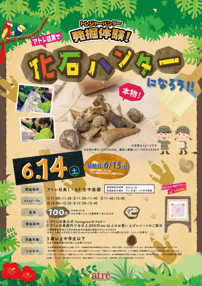 【イベント情報】トレジャーハンター 発掘体験！アトレ目黒で化石ハンターになろう！🔨⚒️