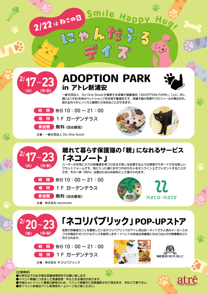 ＼2/22はねこの日🐾／にゃんだふるデイズ😸