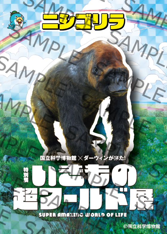 tni1260618153842.png