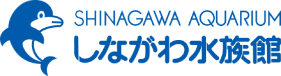 しながわ水族館🐬フォトパネル展示