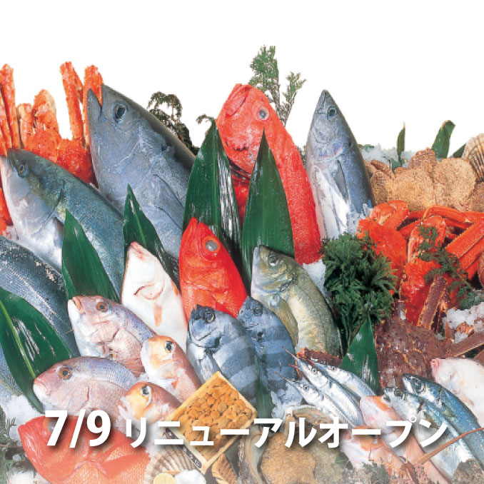 魚力