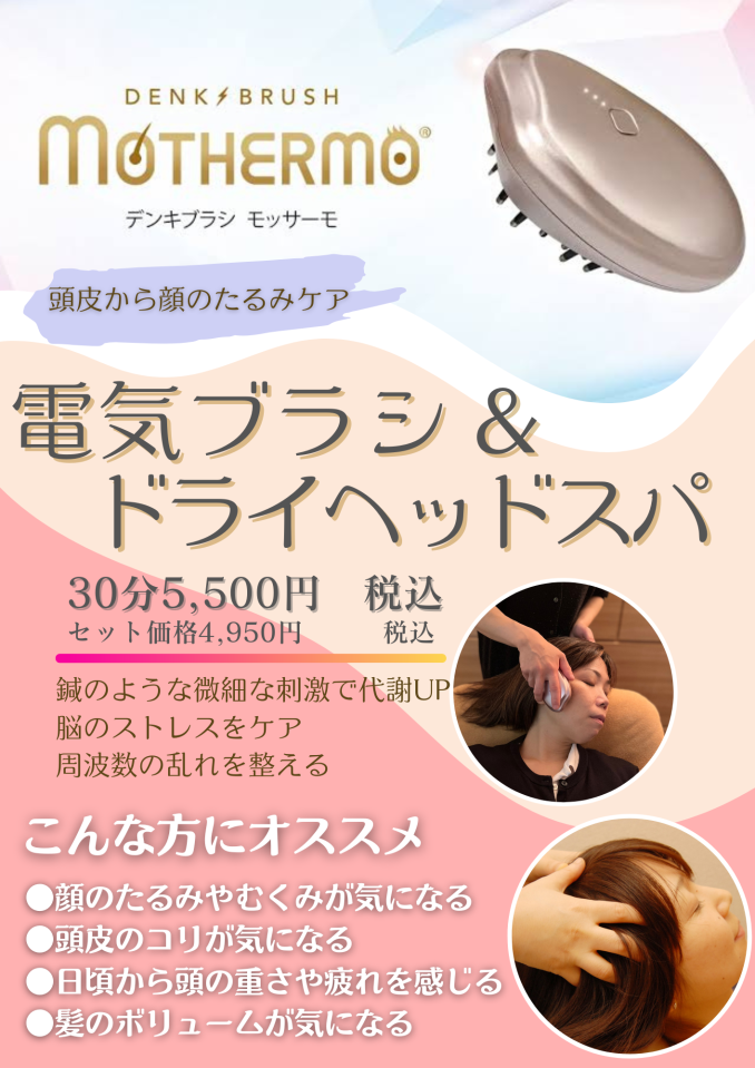 MOTHERMO モッサーモ 頭皮マッサージ 電気ブラシ デンキバリブラシ