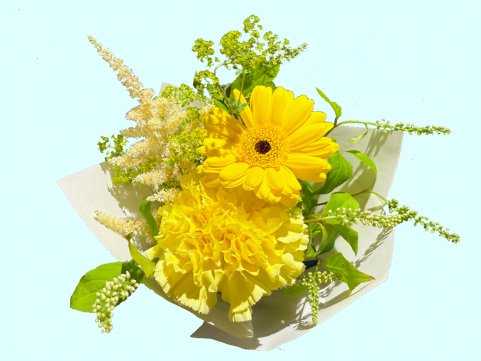 tni1250513174504.png