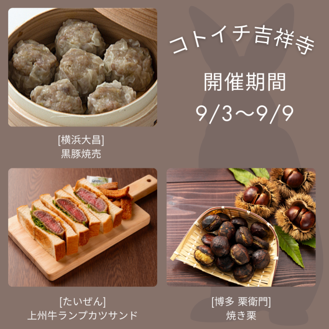 tni1250901140819.png