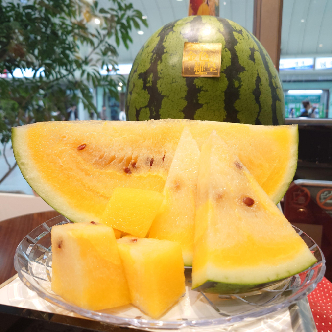 tni1260611013211.JPG