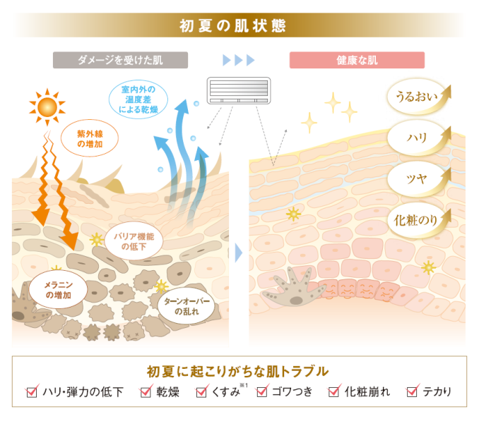 tni3250429192536.png