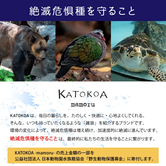 tni3250825143406.png