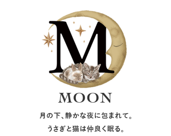 tni3250909193600.png