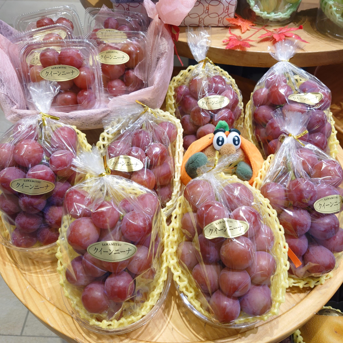 tni3260910171141.JPG