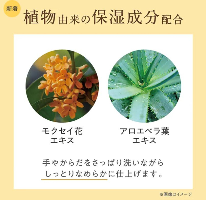 tni4251010175304.jpeg
