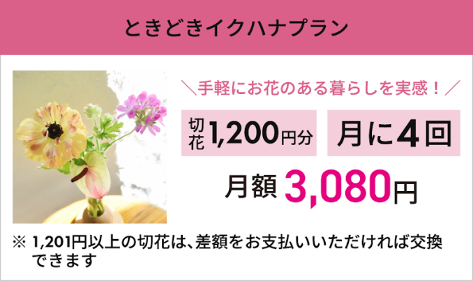 tni4251017132608.png