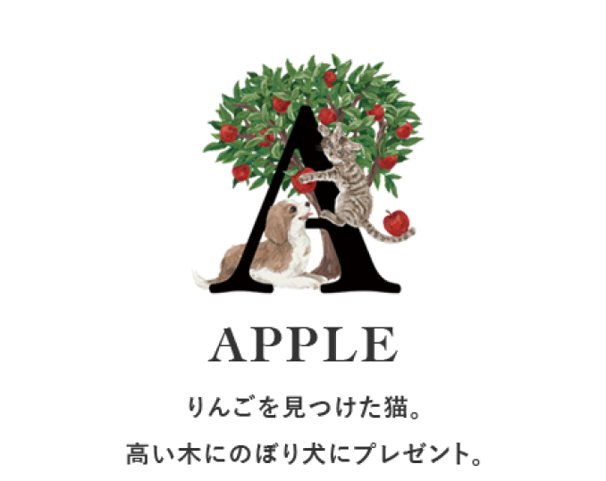 tni5250909193600.png