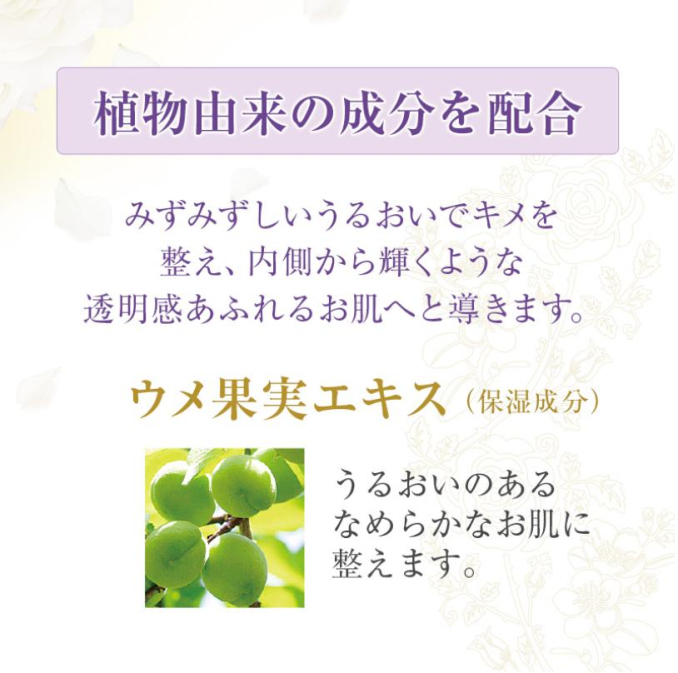 tni6250802145948.jpeg