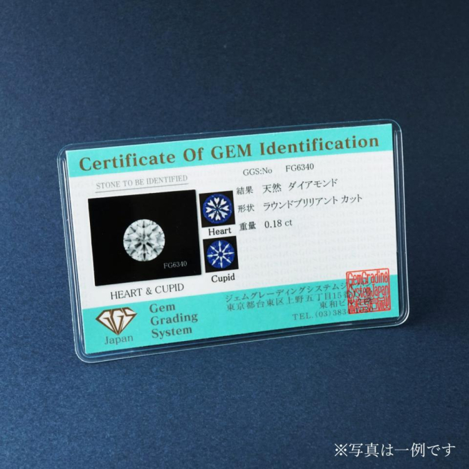 tni7261005185000.jpg
