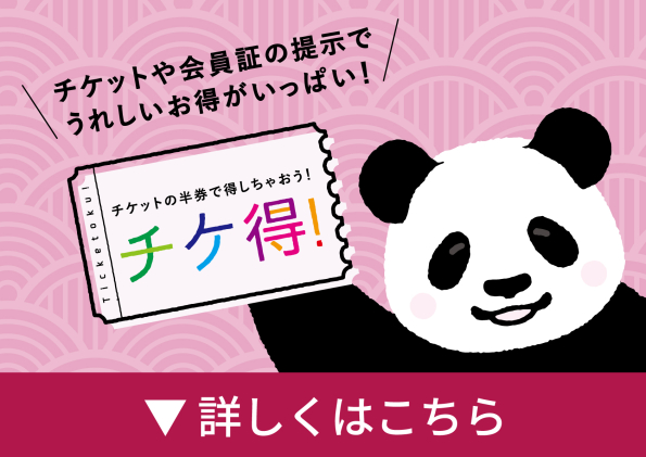 チケットの半券で得しちゃおう！チケ得！