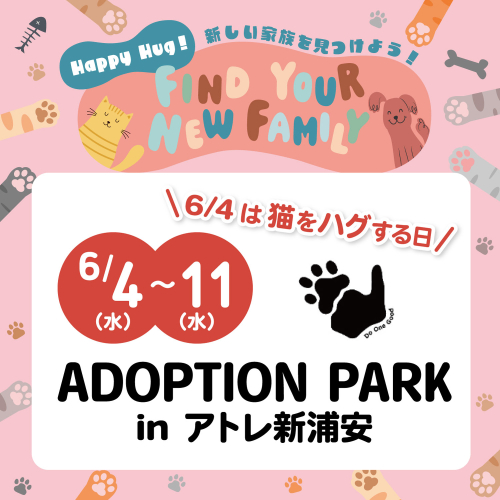 ADOPTION PARK ～保護猫犬譲渡会😸🐶
