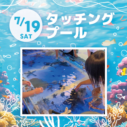 【7/19(土)開催】タッチングプール🦈