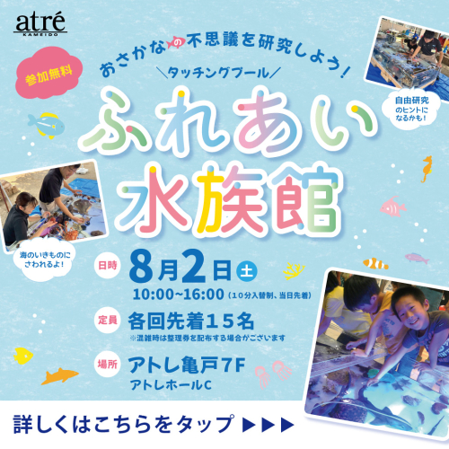 🐟ふれあい水族館～タッチングプール～🐟
