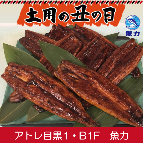 土用の丑の日✨