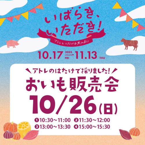 アトレのはたけで採りました！おいもの販売会