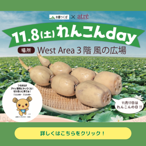 11月8日(土) れんこんの日イベント開催！✨