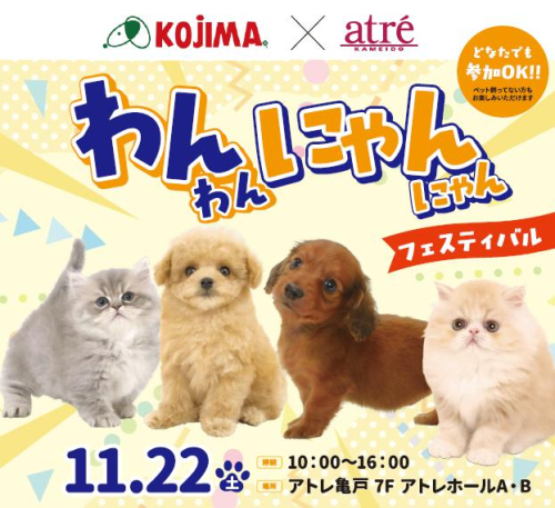 🐶わんわんにゃんにゃんフェスティバル🐈