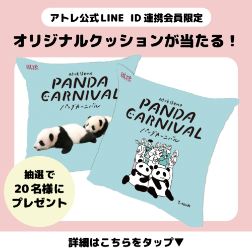 🐼🎁オリジナルクッションプレゼントキャンペーン🎁🐼