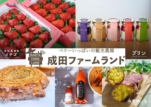 【期間限定ショップ】1/2(金)～1/13(火)『成田ファームランド』