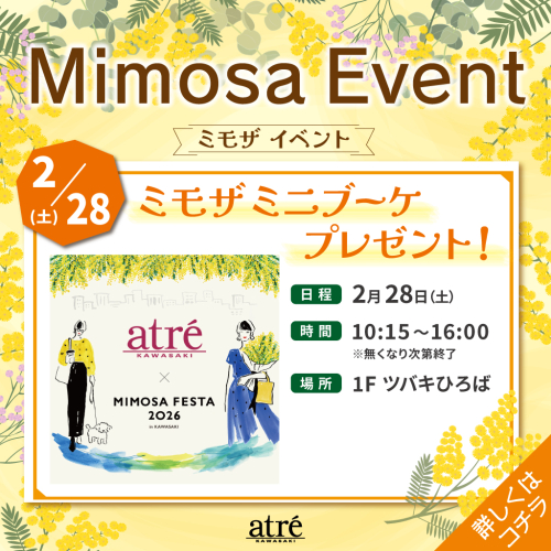 【2/28限定】ミモザのミニブーケ配布🎁