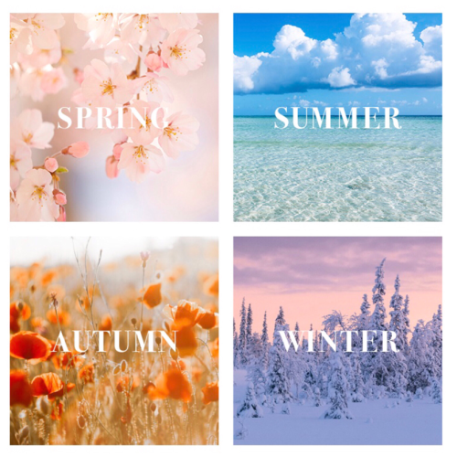 🌸Beauty Forest 2026🌸 パーソナルカラー診断