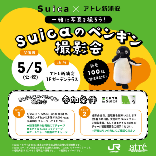 【Suica × アトレ新浦安】Suicaのペンギン撮影会📷