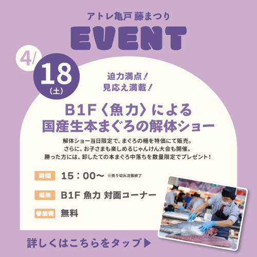 【藤まつり】迫力満点！見応え満載！B1F〈魚力〉による国産生本まぐろの解体ショー🎣