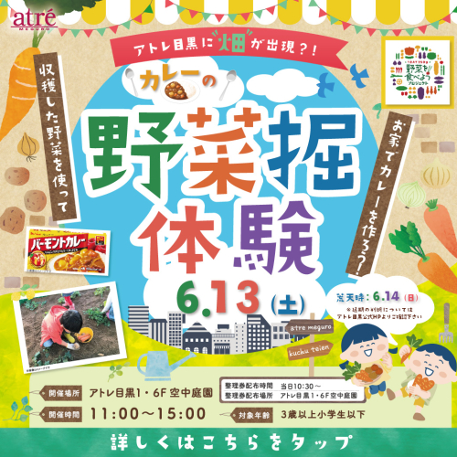 アトレ目黒に”畑”が出現？！カレー🍛の野菜掘体験🥔🥕🧅