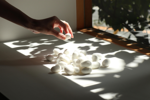 期間限定ショップ『絹屋』 OPEN！