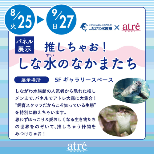 【パネル展示】推しちゃお！しな水のなかまたち