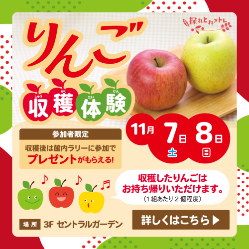 【採れとれアトレ】🍎りんご収穫体験🍎