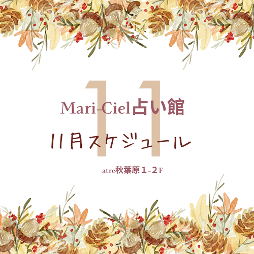 2023年11月占いスケジュール★マリーシェル占い館アトレ秋葉原店★