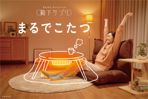 【売り切れにご注意】まるでこたつのようなソックス♡