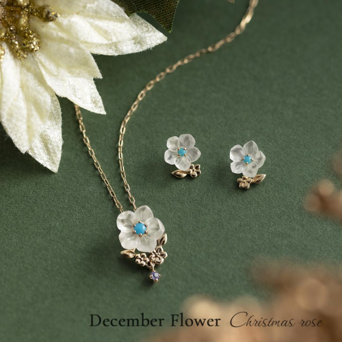 12月誕生花　クリスマスローズ💐