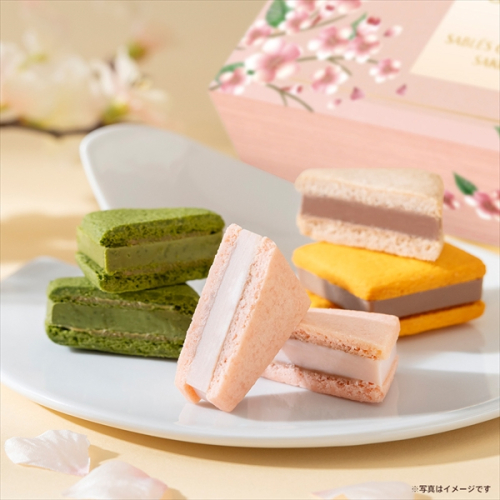 「サブレショコラ 桜」のご紹介です！