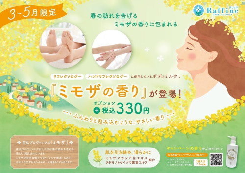 【期間限定】ミモザの香りが新登場！