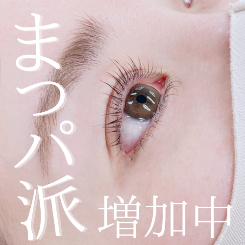 まつげパーマが人気です⭐️