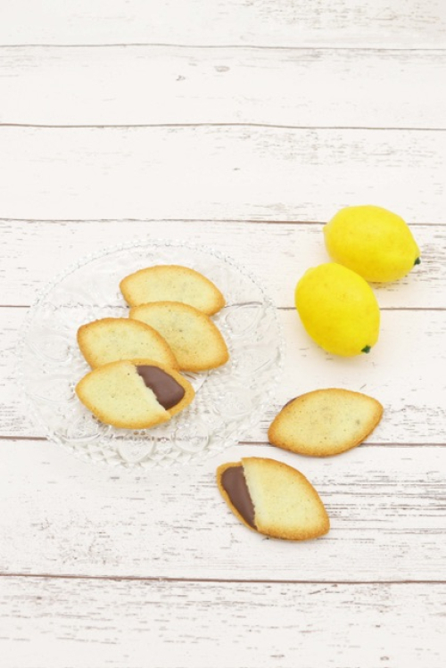 🍋期間限定🍋ココサブレレモンのご紹介🍫✨