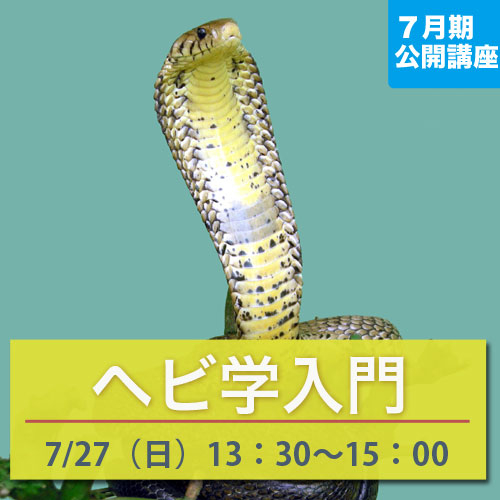 公開講座　「ヘビ学入門講座」