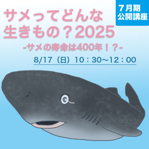 公開講座　「サメってどんな生きもの？2025-サメの寿命は400年！？-」