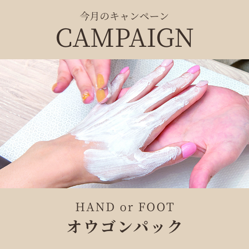 【今月のおすすめメニュー】オウゴンパック