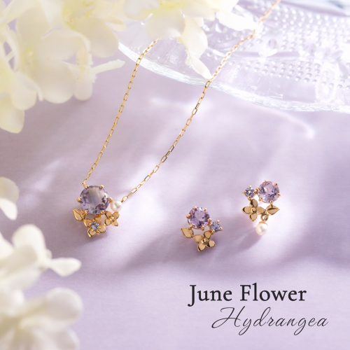 ☆☆6月のお誕生花アジサイ☆☆